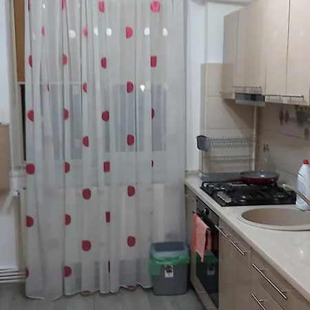 Radu Apartment Craiova