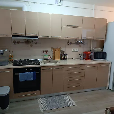 Radu Apartment *