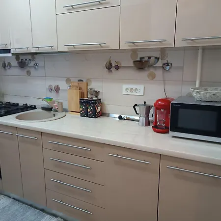 Apartment Radu *