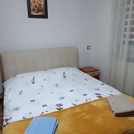 Apartment Radu