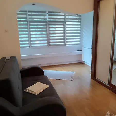 Apartment Radu *