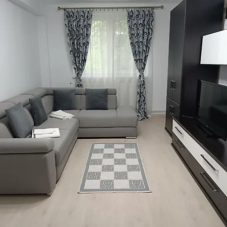 Apartment Radu *